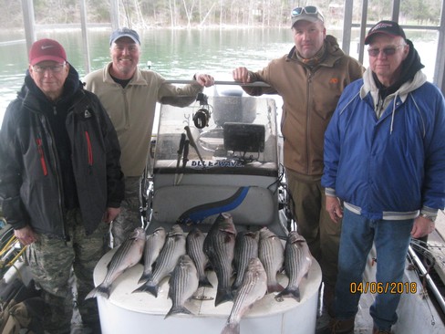 Nice Striped Bass